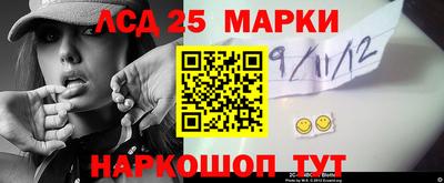 крисы Берёзовский